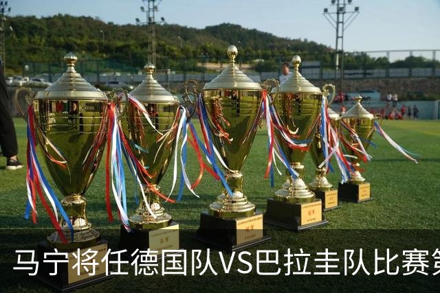 马宁将任德国队VS巴拉圭队比赛第四官员，中国裁判将首次参加世界杯淘汰赛执裁工作
