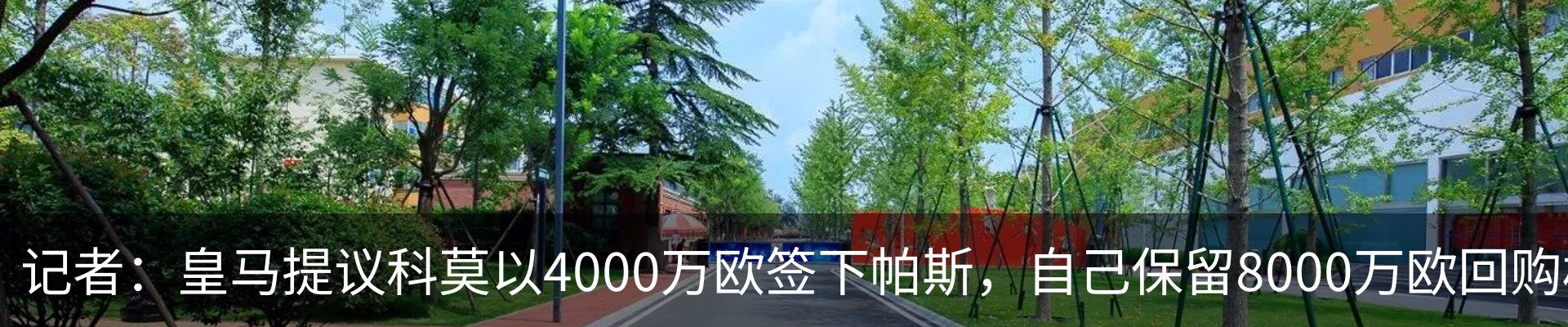 行业资讯